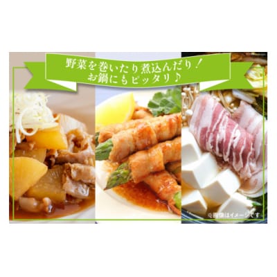 【さとふる限定寄附額】 豚バラ スライス 宮崎県産 300g×5p 1.5kg [31as0113]