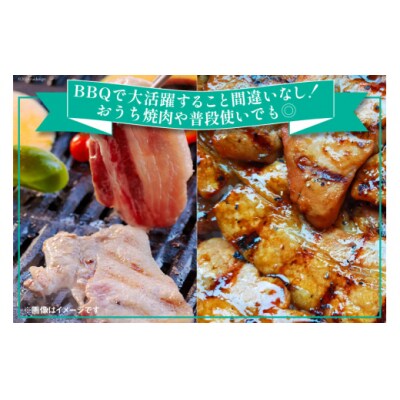 宮崎県産 豚バラ 肩ロース 焼肉 食べ比べ各300g×3 計1.8kg [31as0110]