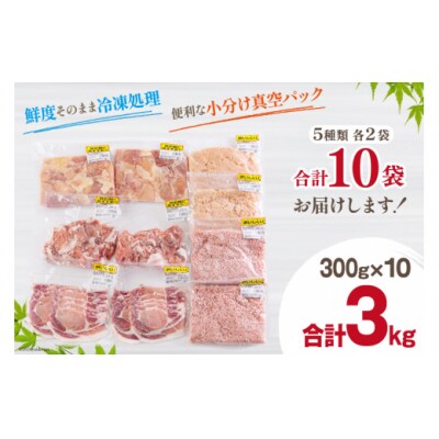 宮崎県産 豚肉 鶏肉 セット ひき肉 こま切れ ロース 生姜焼き用 もも [31as0108]