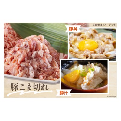 宮崎県産 豚肉 鶏肉 セット ひき肉 こま切れ ロース 生姜焼き用 もも [31as0108]