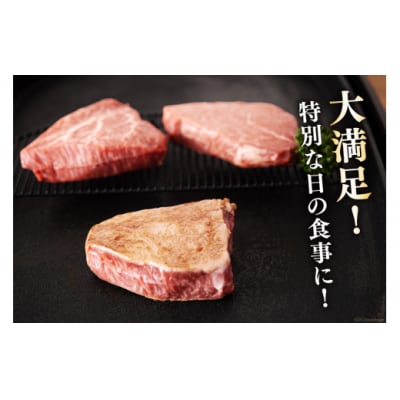 宮崎県産 黒毛和牛 ヒレ フィレ ヘレ ステーキ 110g ×3枚 計330g [31ba0030]