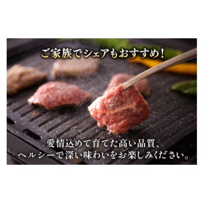 焼肉セット 詰め合わせ 宮崎県産 黒毛和牛 モモ カルビ 豚バラ 若鶏モモ [31ba0028]