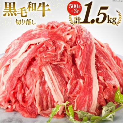 宮崎県産 黒毛和牛 切り落とし 500g×3 計1.5kg サンアグリフーズ [31ba0025]