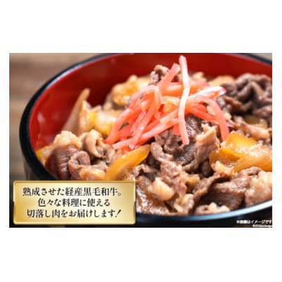 宮崎県産 黒毛和牛 切り落とし 500g×3 計1.5kg サンアグリフーズ [31ba0025]