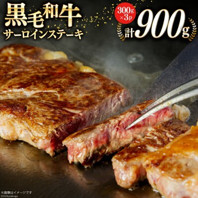 宮崎県産 黒毛和牛 サーロイン ステーキ 300g×3 計900g [31ba0026]