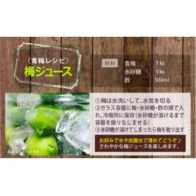 【期間限定発送】 美郷町産 「南高梅」 青梅 5kg 加工用 梅 果物 [31ab0013]