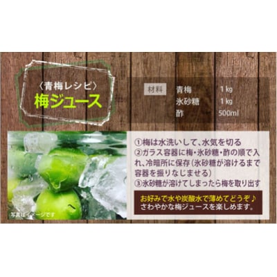 【期間限定発送】 美郷町産 「南高梅」 青梅 5kg 加工用 梅 果物 [31ab0013]