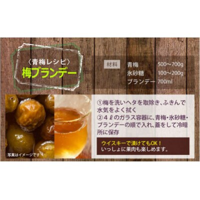 【期間限定発送】 美郷町産 「南高梅」 青梅 5kg 加工用 梅 果物 [31ab0013]