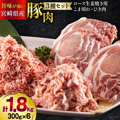 宮崎県産 豚肉 3種 セット ひき肉 こま切れ ロース 生姜焼き用 小分け [31as0106]