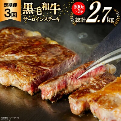 3回 定期便 宮崎県産 黒毛和牛 サーロイン ステーキ 300g ×3×3ヶ月 [31ba0032]