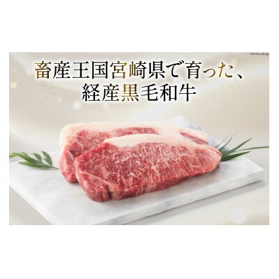 4回 定期便 宮崎県産 黒毛和牛 サーロイン ステーキ 300g ×3×4ヶ月 [31ba0033]