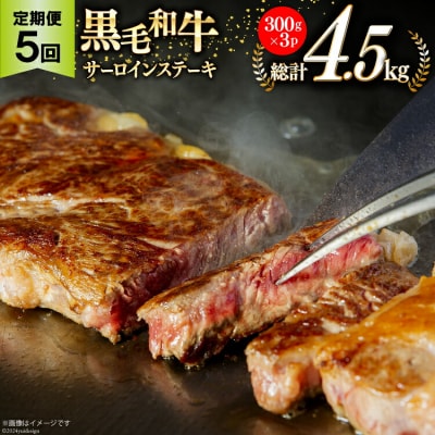 5回 定期便 宮崎県産 黒毛和牛 サーロイン ステーキ 300g ×3×5ヶ月 [31ba0034]