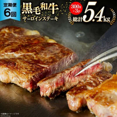 6回 定期便 宮崎県産 黒毛和牛 サーロイン ステーキ 300g ×3×6ヶ月 [31ba0035]