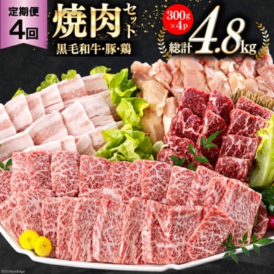 4回 定期便 宮崎県産 焼肉 セット 黒毛和牛 モモ カルビ 豚バラ 若鶏 [31ba0037]
