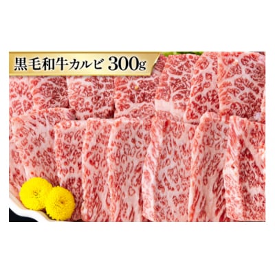 4回 定期便 宮崎県産 焼肉 セット 黒毛和牛 モモ カルビ 豚バラ 若鶏 [31ba0037]