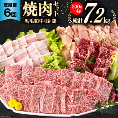 6回 定期便 宮崎県産 焼肉 セット 黒毛和牛 モモ カルビ 豚バラ 若鶏 [31ba0039]