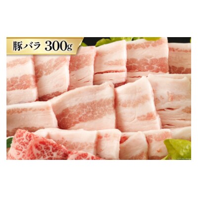 6回 定期便 宮崎県産 焼肉 セット 黒毛和牛 モモ カルビ 豚バラ 若鶏 [31ba0039]