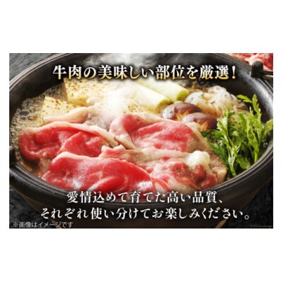 3回 定期便 宮崎県産 黒毛和牛 スライス セット 切り落とし モモ [31ba0040]