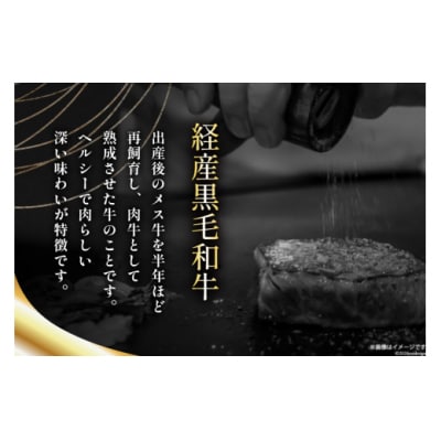 3回 定期便 宮崎県産 黒毛和牛 ヒレ フィレ ヘレ ステーキ 330g [31ba0041]