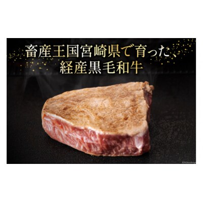 4回 定期便 宮崎県産 黒毛和牛 ヒレ フィレ ヘレ ステーキ 330g [31ba0042]