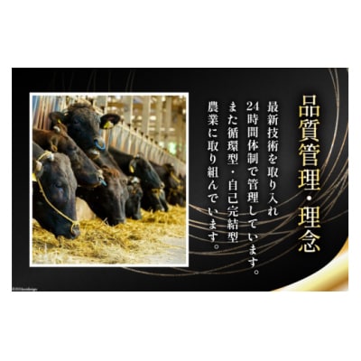 5回 定期便 宮崎県産 黒毛和牛 ヒレ フィレ ヘレ ステーキ 330g [31ba0043]