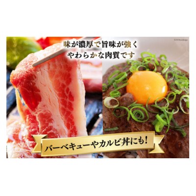 【宮崎牛】 カルビ 焼肉 500g×2 計1kg ローカルブランディング [31bb0034]