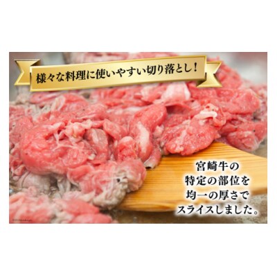 【宮崎牛】 切り落とし 500g×2 計1kg ローカルブランディング 宮崎県 [31bb0018]