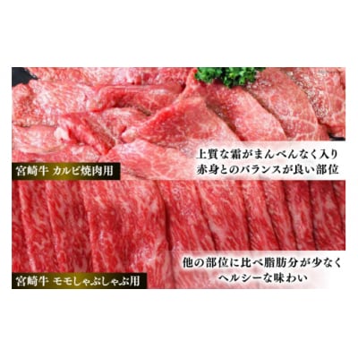 【宮崎牛】 カルビ焼肉・しゃぶしゃぶ セット 計800g [31bb0021]