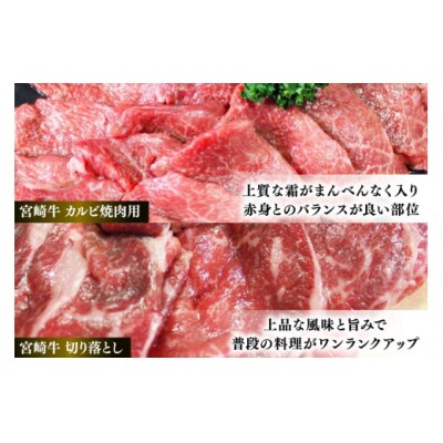 【宮崎牛】 宮崎県産 宮崎牛 カルビ 切り落とし セット 400g×2 [31bb0022]