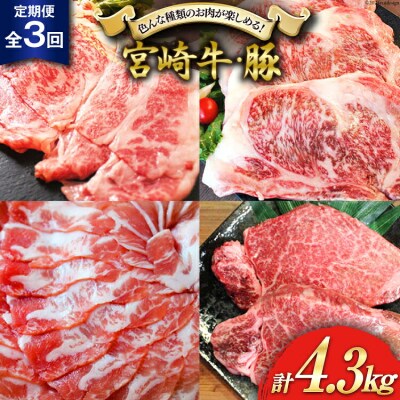 3回 定期便 宮崎牛 宮崎県産 豚 しゃぶしゃぶ すき焼き ステーキ 3ヶ月 [31bb0026]