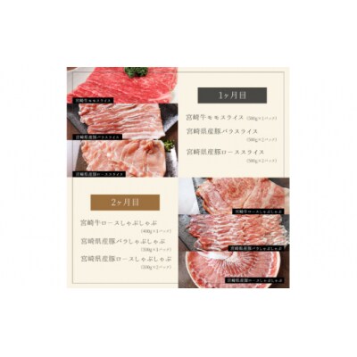 5回 定期便 宮崎牛 宮崎県産 豚 春夏秋冬 5ヶ月 コース 合計13.6kg [31bb0027]