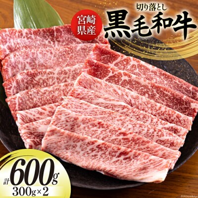 宮崎県産 黒毛和牛 切り落とし 300g×2 計600g [31bd0013]