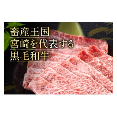 宮崎県産 黒毛和牛 切り落とし 300g×2 計600g [31bd0013]