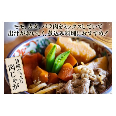 宮崎県産 黒毛和牛 切り落とし 300g×2 計600g [31bd0013]