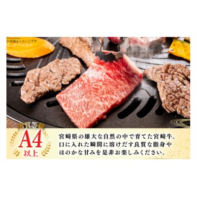 宮崎牛 肩 カタ 焼肉 400g 日本ハムマーケティング 宮崎県 美郷町 冷凍 [31bd0016]