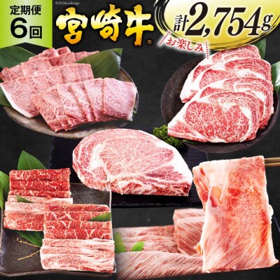 6回 定期便 宮崎牛 ロースステーキ 肩焼肉 ワンポンドステーキ もも バラ [31bd0024]
