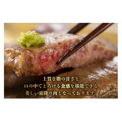 【宮崎牛】 サーロイン ステーキ 200g×2枚 計400g [31bb0032]