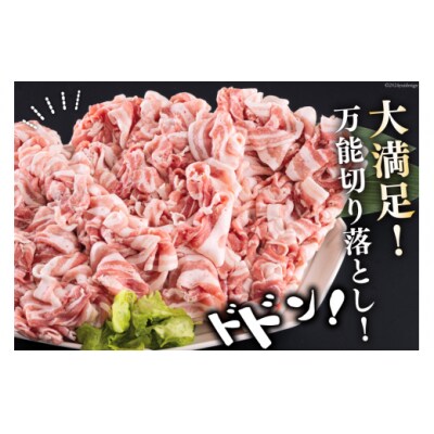 宮崎県産 豚バラ しゃぶしゃぶ 切落し 500g×3 計1.5kg [31ba0031]