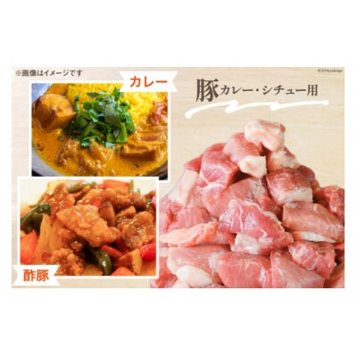 豚肉 小分け お料理セット 真空包装 合計3.3kg 甲斐精肉店 宮崎県 [31as0097]
