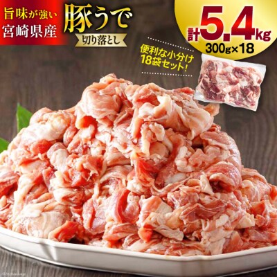 豚肉 小分け 切り落とし 300g×18袋 合計5.4kg 甲斐精肉店 宮崎県 [31as0125]