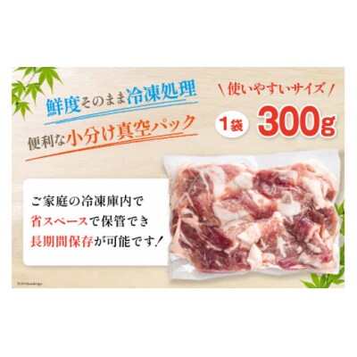 豚肉 小分け 切り落とし 300g×18袋 合計5.4kg 甲斐精肉店 宮崎県 [31as0125]