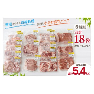 豚肉 小分け 切り落とし ロース 豚バラ スライス お料理セット 計5.4kg [31as0096]