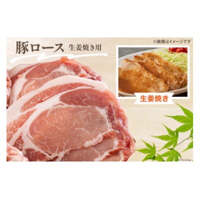 豚肉 小分け 切り落とし ロース 豚バラ スライス お料理セット 計5.4kg [31as0096]