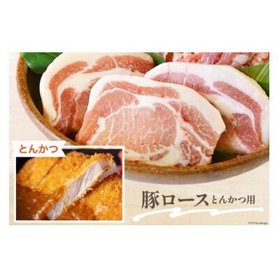 豚肉 小分け 切り落とし ロース 豚バラ スライス お料理セット 計5.4kg [31as0096]