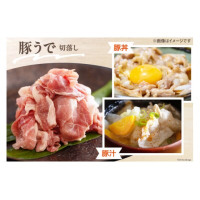 豚肉 小分け 豚 切り落とし バラ スライス ロース 生姜焼き用 とんかつ用 [31as0092]
