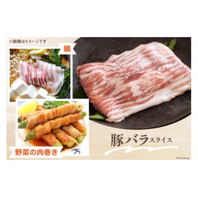 豚肉 小分け 豚 切り落とし バラ スライス ロース 生姜焼き用 とんかつ用 [31as0092]