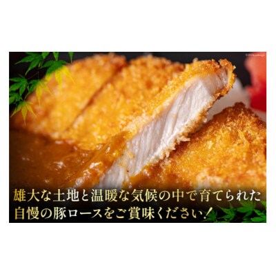 豚肉 ロース とんかつ用 300g ×6 計 1.8kg 甲斐精肉店 宮崎県 [31as0090]