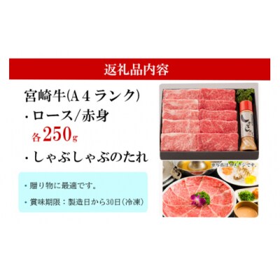 宮崎牛 A4 ロース 赤身 スライス セット 各250g 計500g [31bg0010]