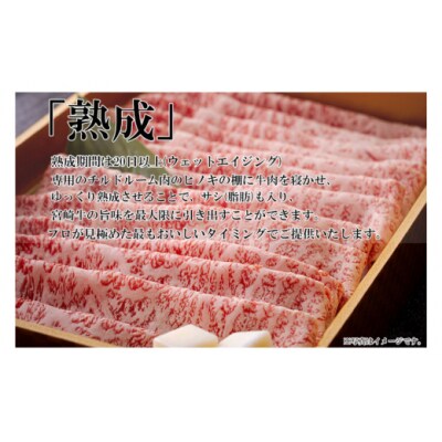 宮崎牛 A4 赤身 焼肉 セット 500g ステーキソース付き ギフト箱入り [31bg0011]