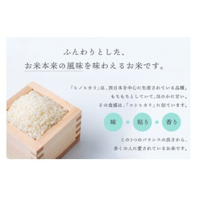 令和5年産 ひのひかり 5kg×1袋 古久保米店 宮崎県 美郷町 宮崎県産 [31bi0003]